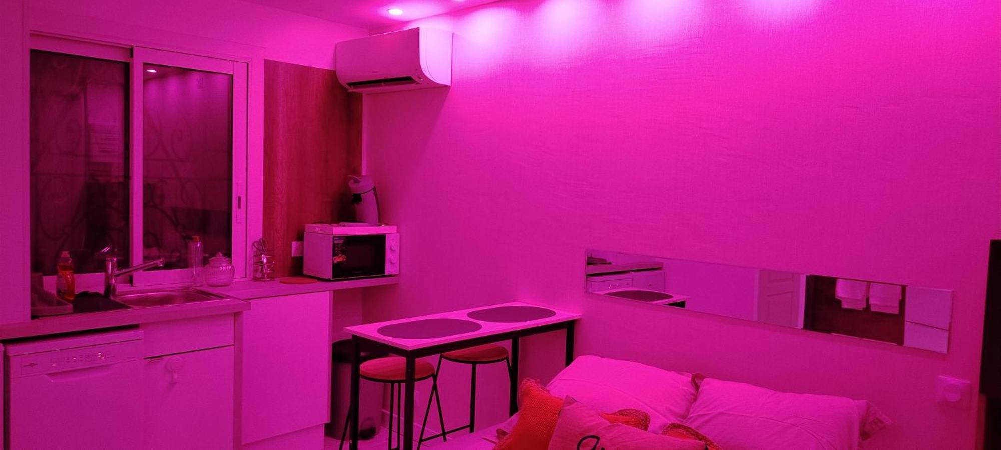 Studio Cosy Balneo Avec Jardin Le Barcarès Εξωτερικό φωτογραφία