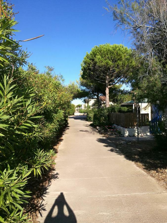 Studio Cosy Balneo Avec Jardin Le Barcarès Εξωτερικό φωτογραφία